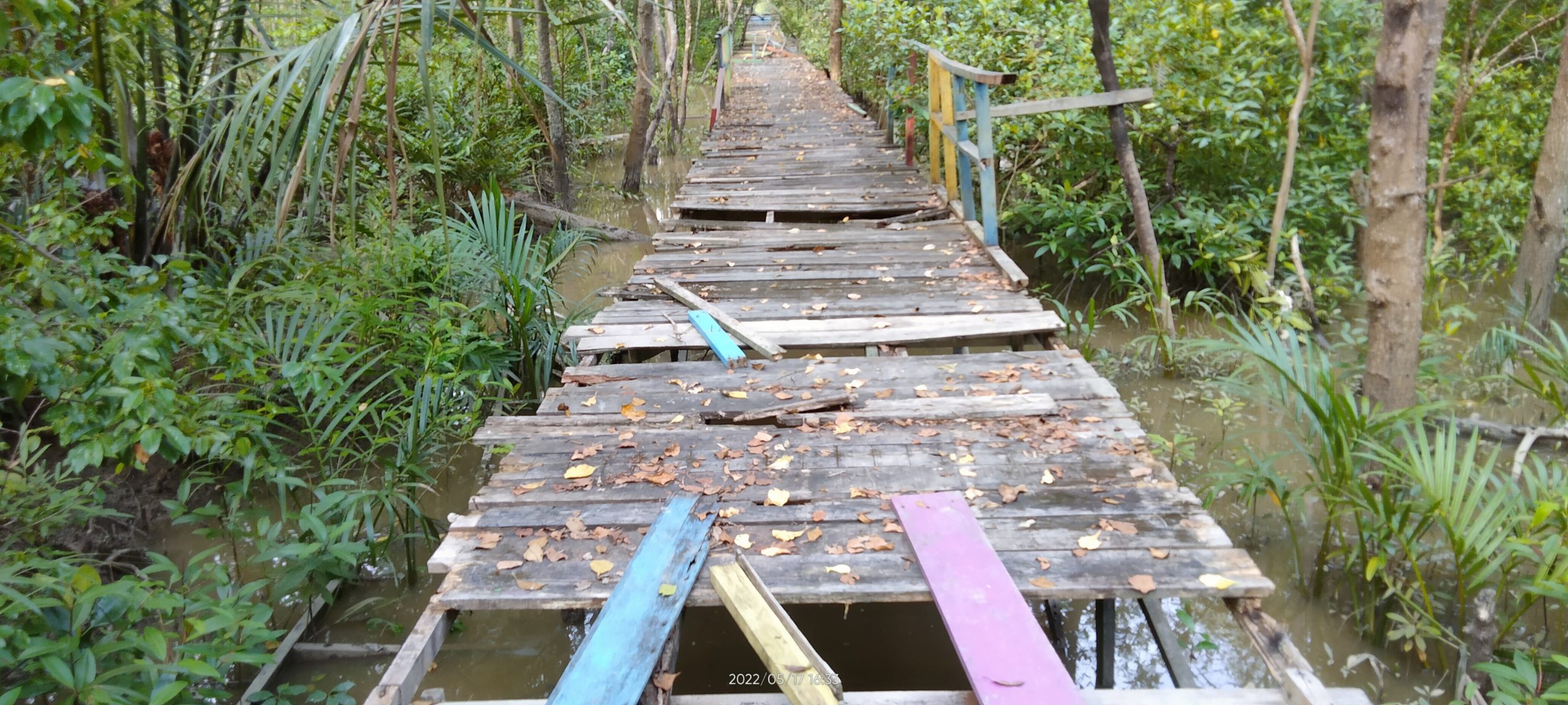  Destinasi Ekowisata Hutan Mangrove, Seakan Kurang Mendapatkan Perhatian